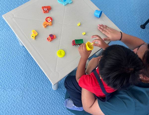 Occupational Therapist